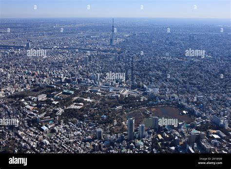 上野駅からスカイツリー：都市の風景と時間の流れ